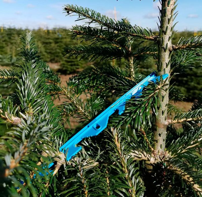 Grenretter kombi til juletræer